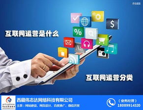 伟志达网络 专业品牌网站建设与计算机网络工程的综合服务商